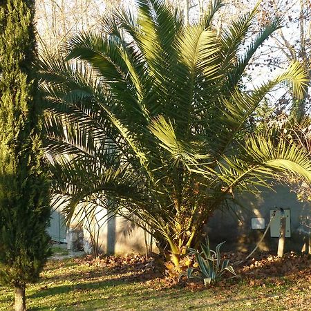 B&B Alle Terme Viterbo Luaran gambar