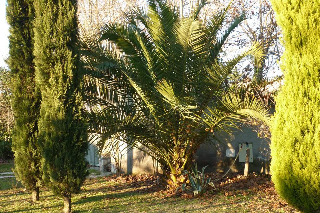 B&B Alle Terme Viterbo Luaran gambar