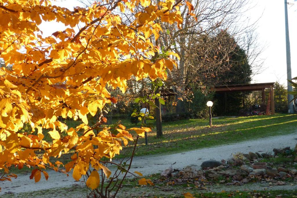 B&B Alle Terme Viterbo Luaran gambar