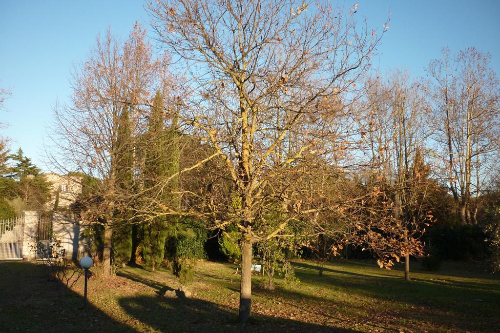 B&B Alle Terme Viterbo Luaran gambar