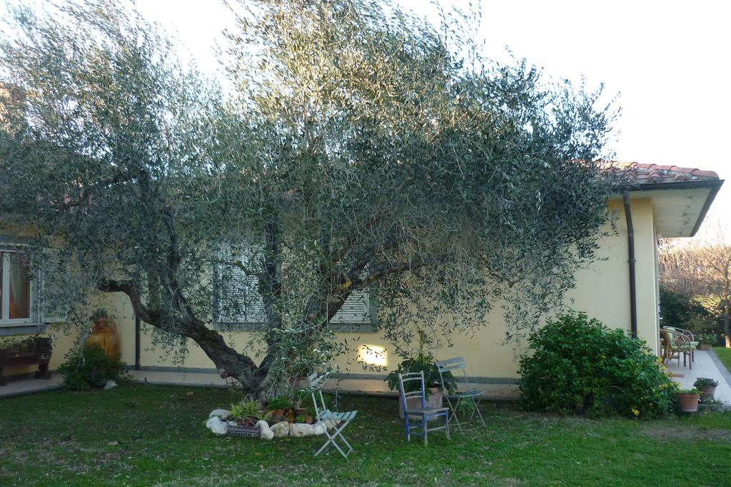 B&B Alle Terme Viterbo Luaran gambar